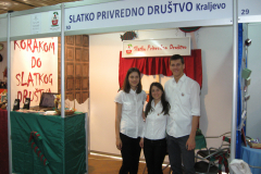 2013-Nacionalni_sajam_virtuelnih_preduzeca_01